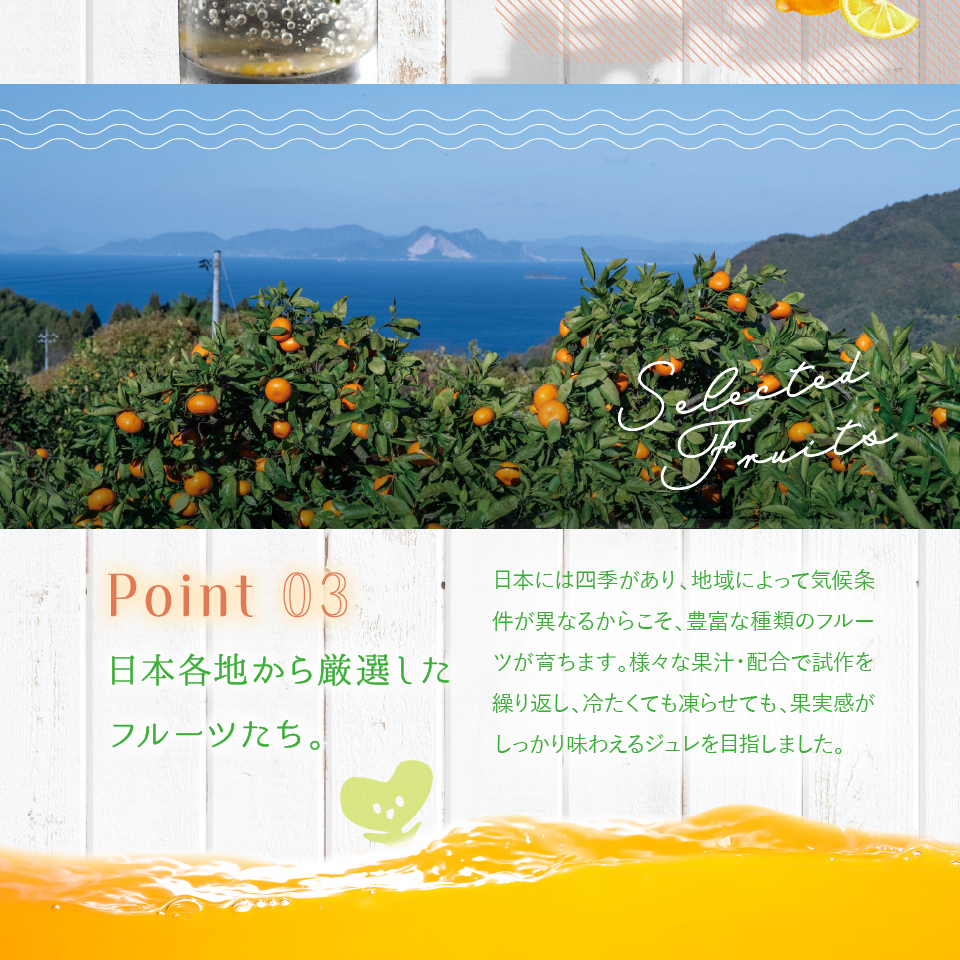 日本各地から厳選したフルーツたち。