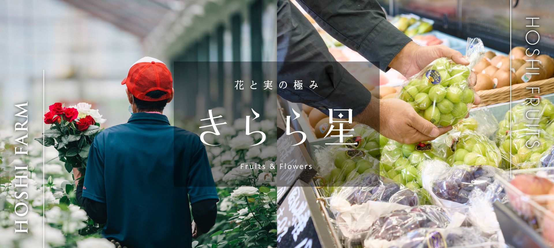瀬戸内　山口県柳井市からお届け_旬の果物と薔薇の花束のギフトセット_ホシフルーツ花と実の極み きらら星