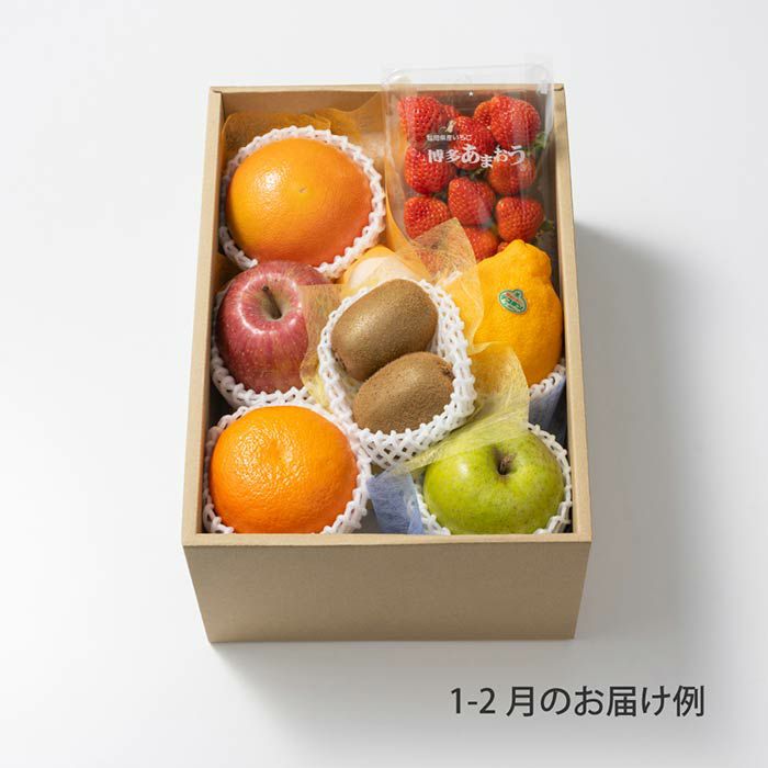 送料込】本日の厳選フルーツ詰め合わせ《HFY-03A》 レビュー・評判