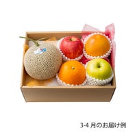 5000円ホシフルーツ 本日の厳選フルーツ詰め合わせ