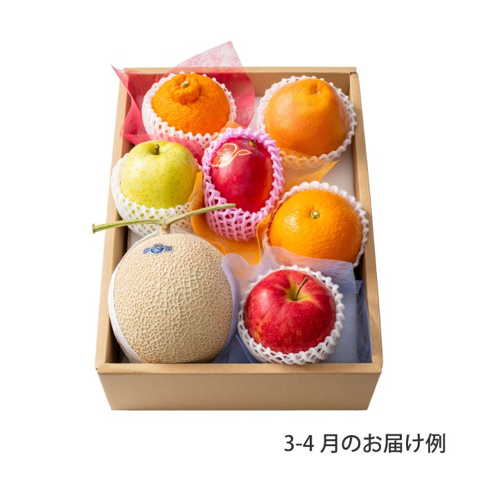 10000円ホシフルーツ 本日の厳選フルーツ詰め合わせ