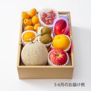 10000円ホシフルーツ 本日の厳選フルーツ詰め合わせ