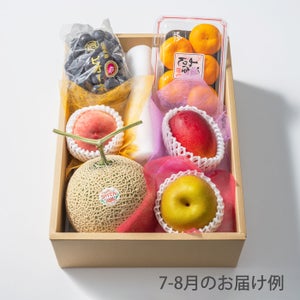 10000円ホシフルーツ 本日の厳選フルーツ詰め合わせ