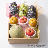 10000円ホシフルーツ 本日の厳選フルーツ詰め合わせ