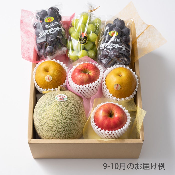 10000円ホシフルーツ 本日の厳選フルーツ詰め合わせ