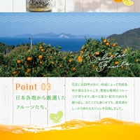 日本各地から厳選したフルーツたち_期間限定｜ホシフルーツ フルーツパーラーの凍らせて食べるシャーベット 彩果しずく ＜バラ売り＞