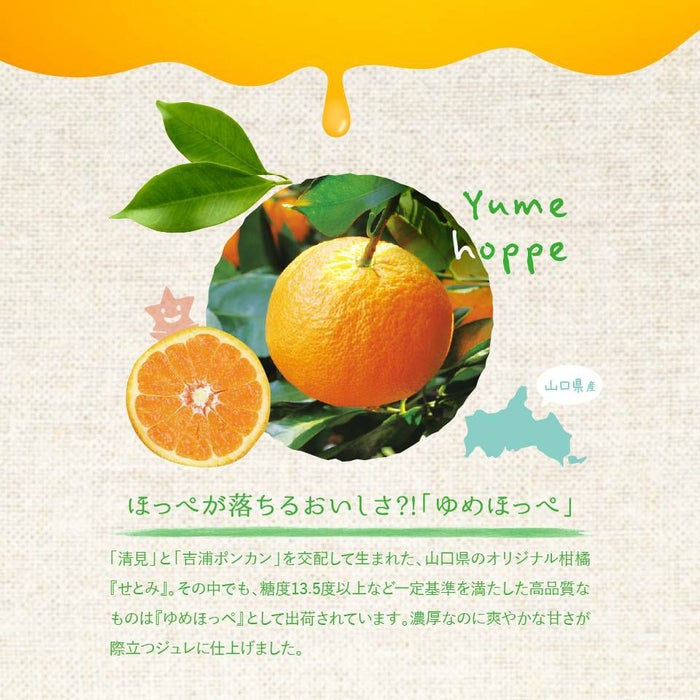 ほっぺが落ちるおいしさ？！「ゆめほっぺ」_期間限定｜ホシフルーツ フルーツパーラーの凍らせて食べるシャーベット 彩果しずく ＜バラ売り＞