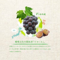 ホシフルーツの島そだち蜜柑を使ったゼリー_期間限定｜ホシフルーツ フルーツパーラーの凍らせて食べるシャーベット 彩果しずく ＜バラ売り＞