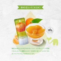 ゆめほっぺ果汁を使用したゼリー_期間限定｜ホシフルーツ フルーツパーラーの凍らせて食べるシャーベット 彩果しずく ＜バラ売り＞