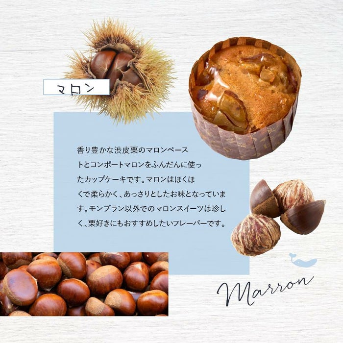 ホシフルーツ マロンのカップケーキ_煌めき果実のカップケーキ 　3個