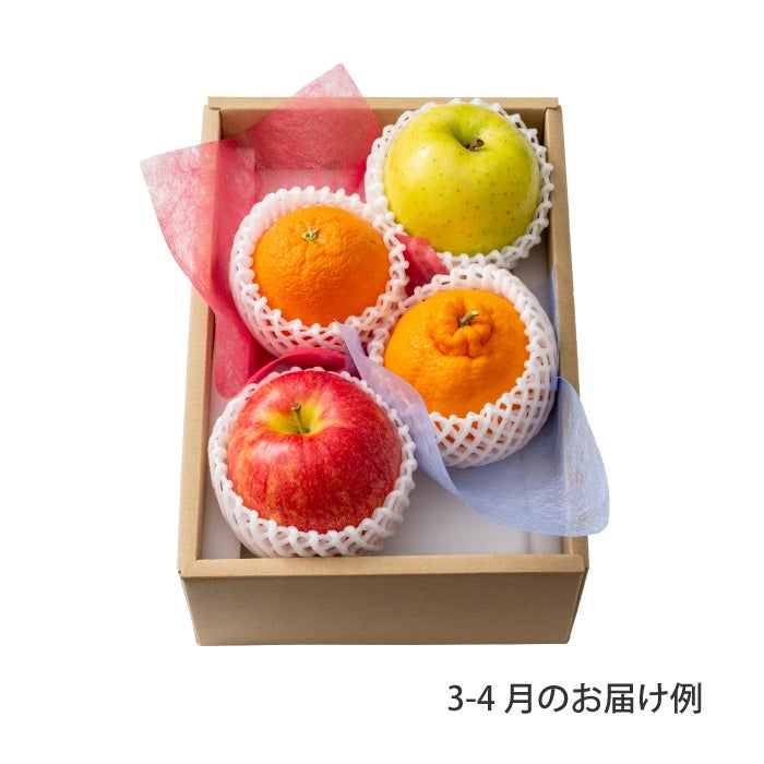 3000円ホシフルーツ 本日の厳選フルーツ詰め合わせ