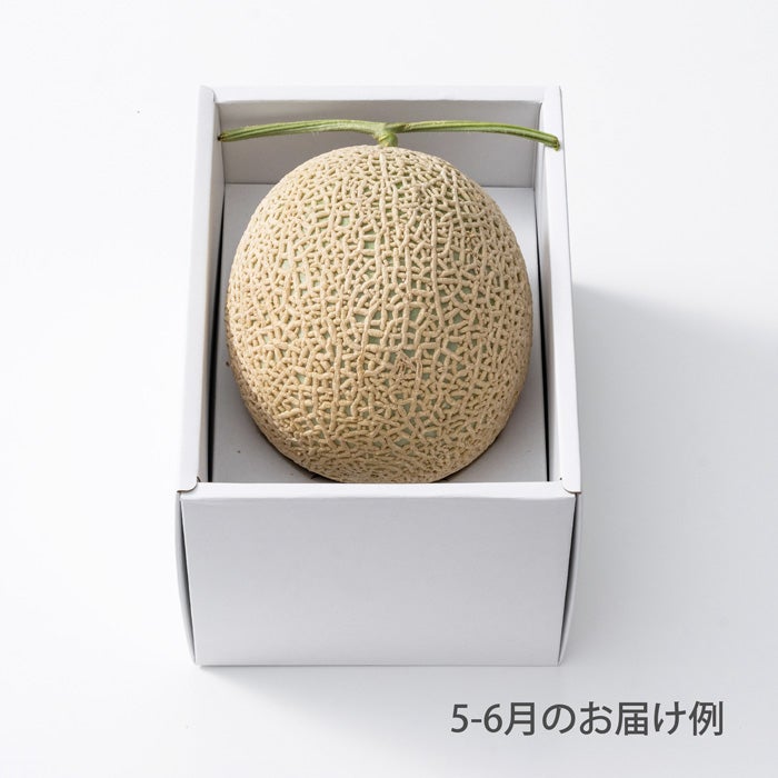 3000円ホシフルーツ 本日の厳選フルーツ詰め合わせ