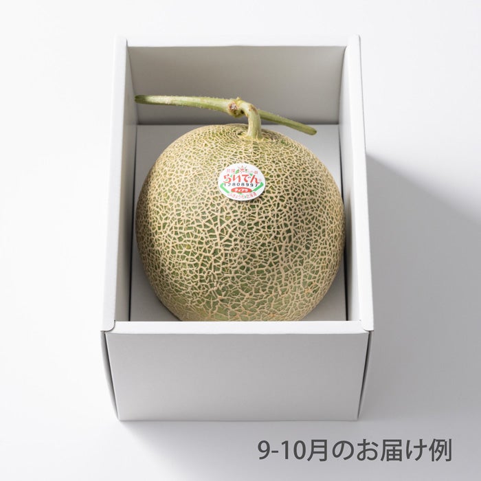 3000円ホシフルーツ 本日の厳選フルーツ詰め合わせ