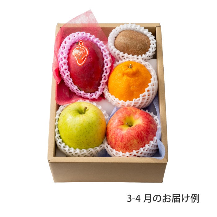 4000円ホシフルーツ 本日の厳選フルーツ詰め合わせ