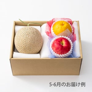 4000円ホシフルーツ 本日の厳選フルーツ詰め合わせ