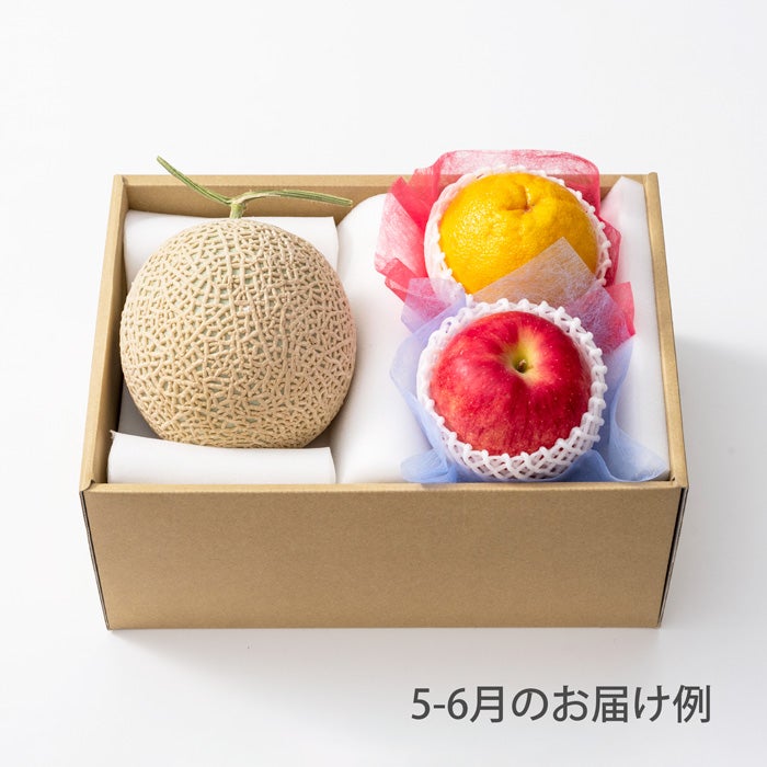 4000円ホシフルーツ 本日の厳選フルーツ詰め合わせ