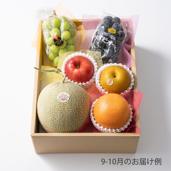 8000円ホシフルーツ 本日の厳選フルーツ詰め合わせ
