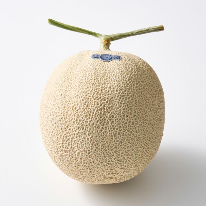 ホシフルーツ_メロンと薔薇のギフトセット_花と実の極み きらら星　静岡県産アールスメロン＆そのまま飾れる薔薇アレンジメントルージュ