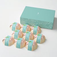 ホシフルーツ　山梨の白桃ぜりぃ　9個