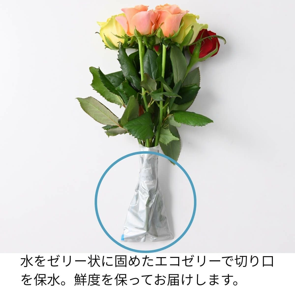 ホシファーム フリルブーケ ８本＆ホシフルーツ煌めき果実のカップケーキ