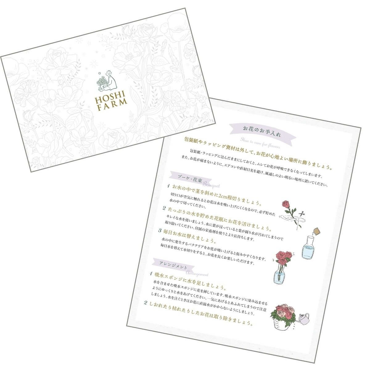 ミニアレンジメントルージュ＆ホシフルーツ贅沢ブラウニー３個