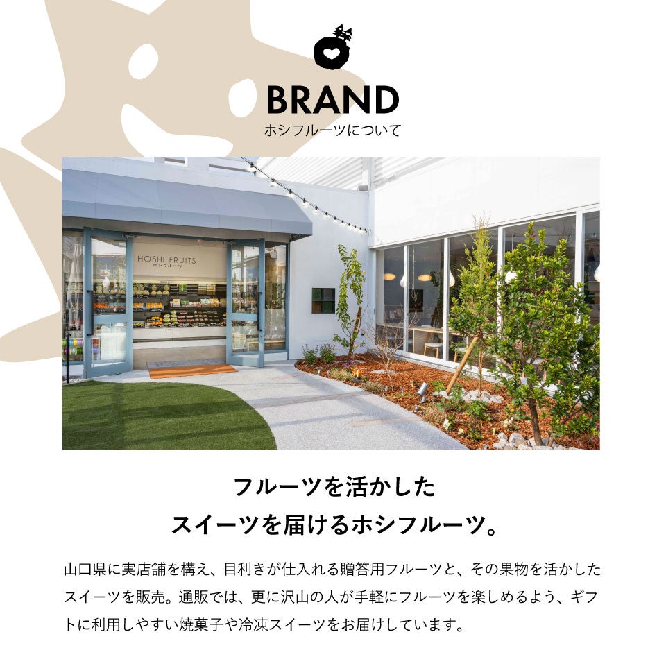 ホシフルーツ_ナッツとドライフルーツの 贅沢ブラウニー　10個