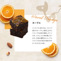 ホシフルーツ_ナッツとドライフルーツの 贅沢ブラウニー　10個