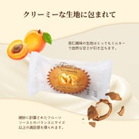 ホシフルーツ芳果フィナンシェ10個入り